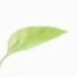 Profile image of 김주빈