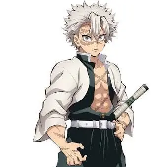 Profile image of Sanemi Shinazugawa