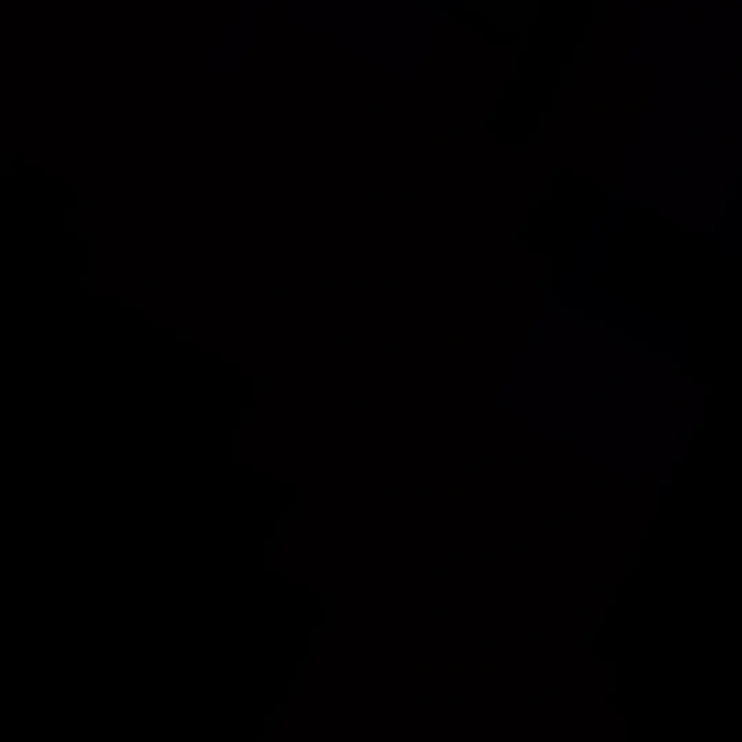 Kkakkungi의 이동혁