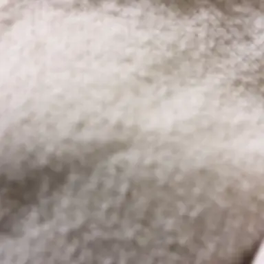 Profile image of ターボー