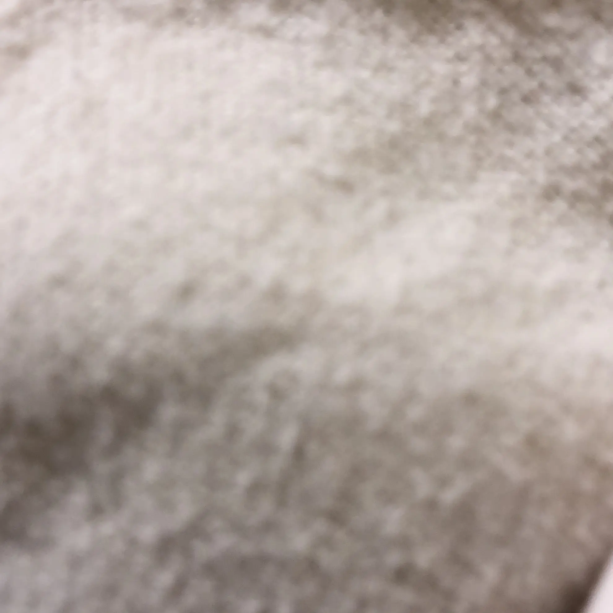 GildedMango8223의 ターボー