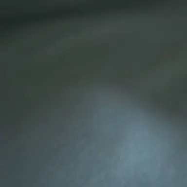 Profile image of 제갈지연