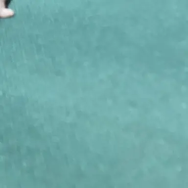 Profile image of 한도연