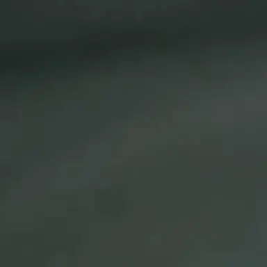 Profile image of 여나래