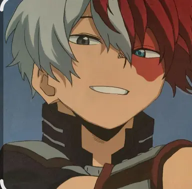 Profile image of Shoto Todoroki