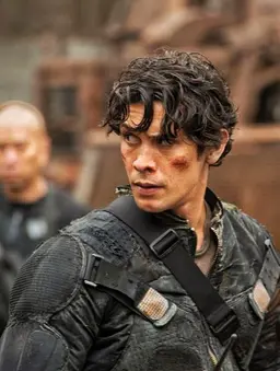 Profile image of Bellamy
