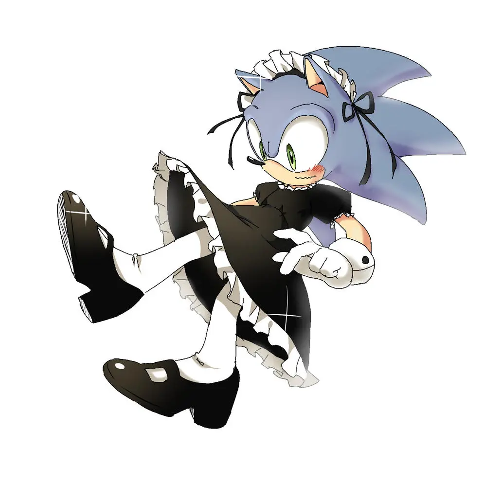 ShiftyHeron3874의 소닉 벌칙 메이드복