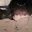 권시훈