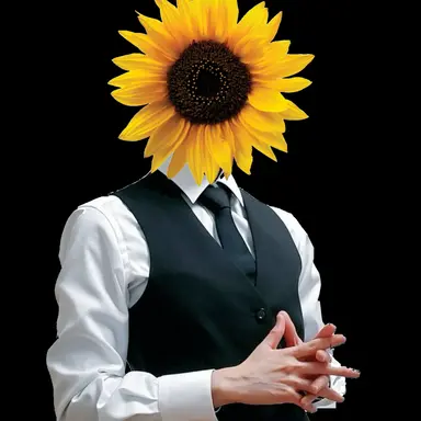 Profile image of Mr. Sunny
