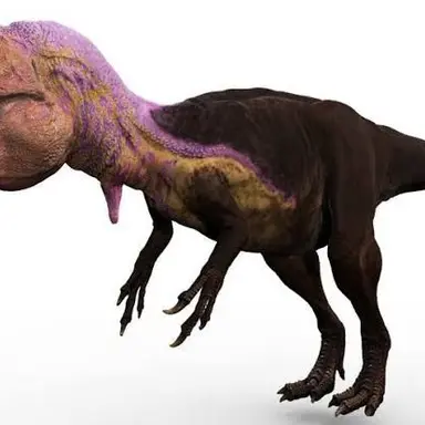 Profile image of Ron