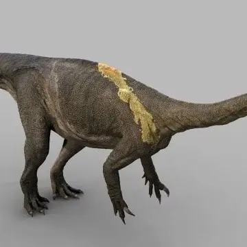 Profile image of Glacia