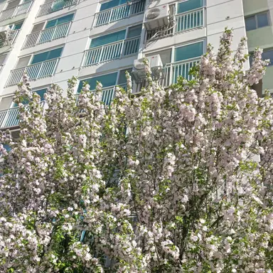 Profile image of 한유진