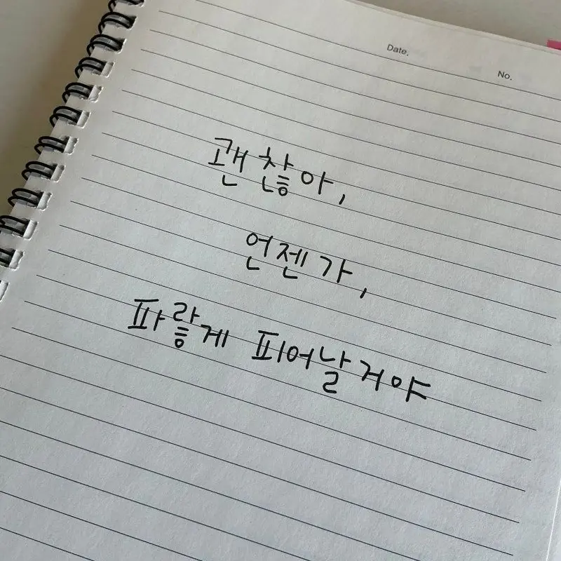 Wal.E의 신예찬