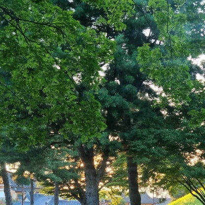 단방울