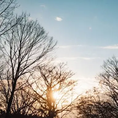 Profile image of ユナ