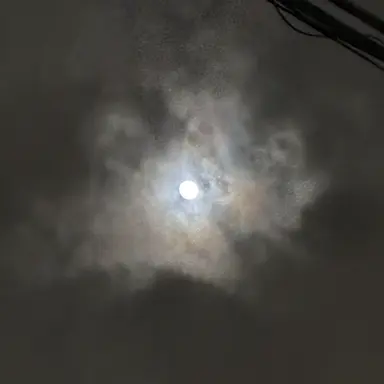 Profile image of ユンギ