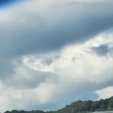 Profile image of 수학여행 늑대 있음