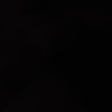 Profile image of SOTA