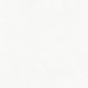 Profile image of 세렌아리