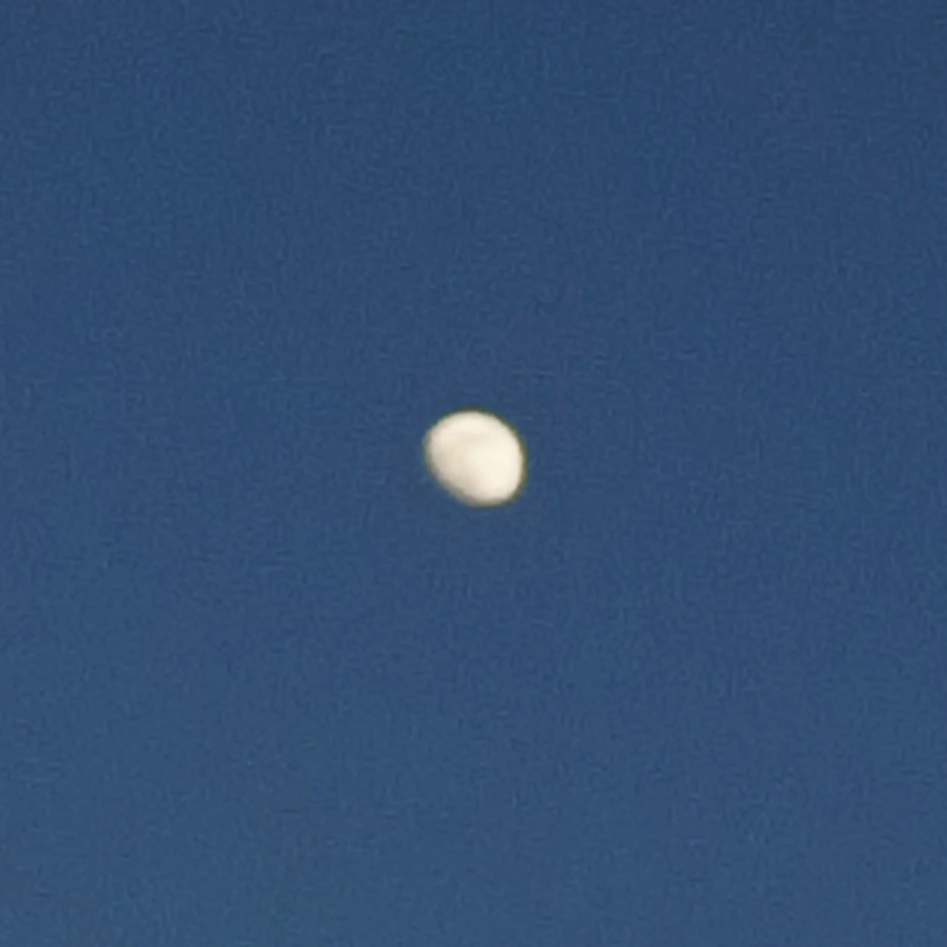 LazyBasil2811의 덴지와 입수?