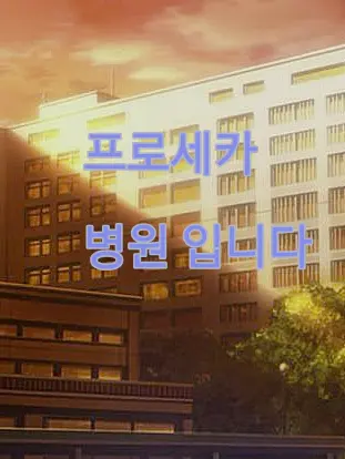 880624의 프로세카 병원입니다!