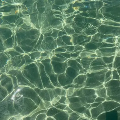 Profile image of ナムギュ