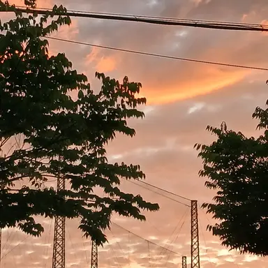 Profile image of 고프 팀빠 수인학교