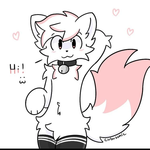 田心こあ