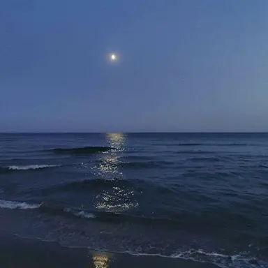 Profile image of 小笠原 海