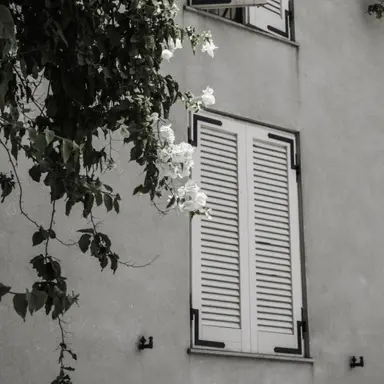 Profile image of 정형준