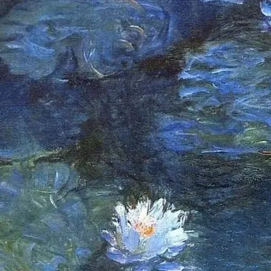 Profile image of 유지민