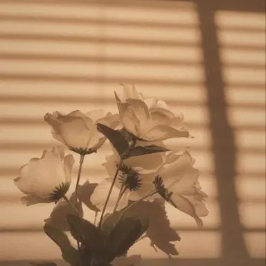 Profile image of 아이리스