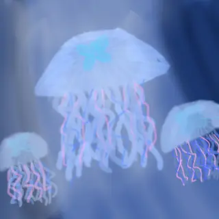 Profile image of 田中樹