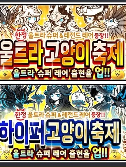 블루아이즈-울트라 고양이 축제 대표 이미지