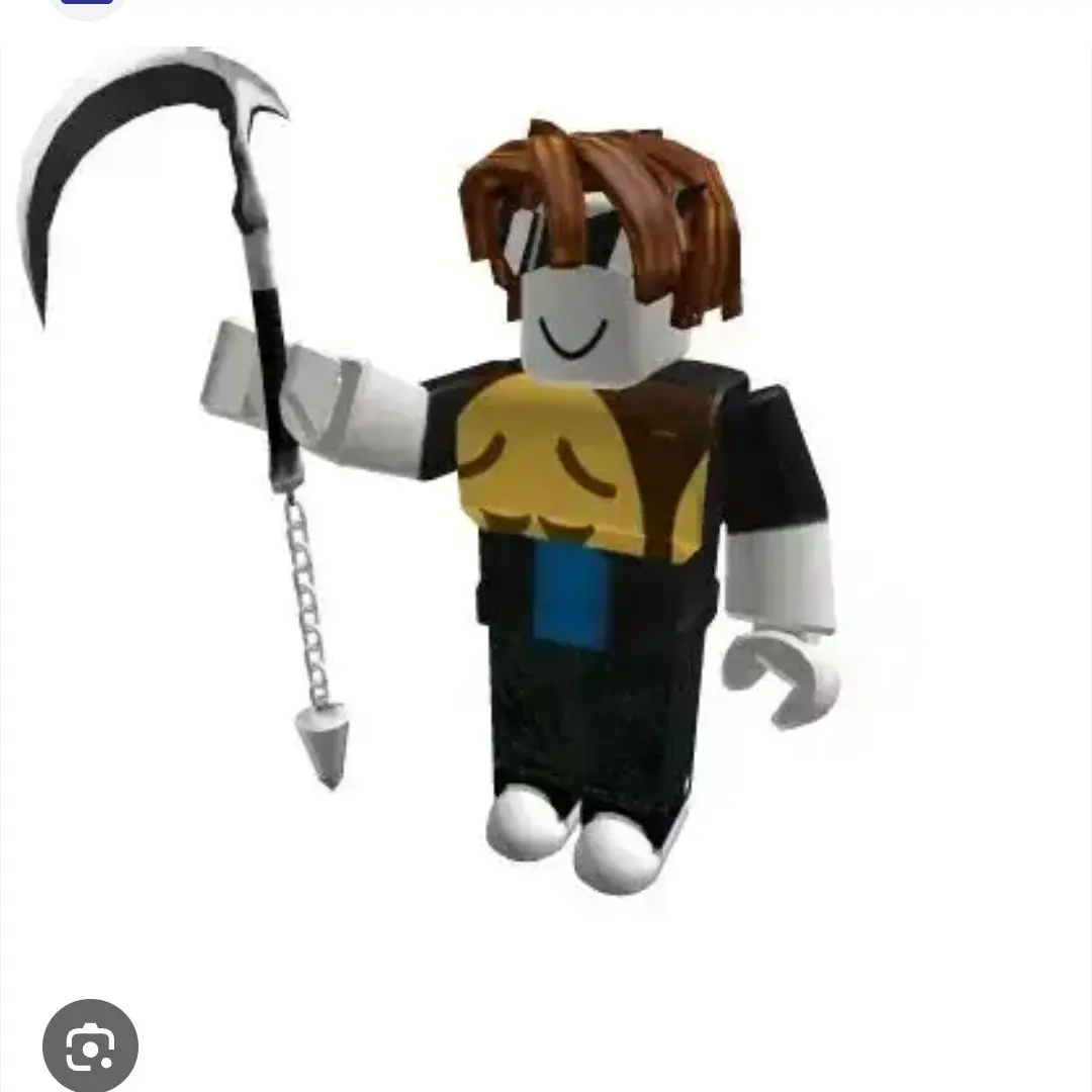 WeakBilby2493의 로블해커+여우