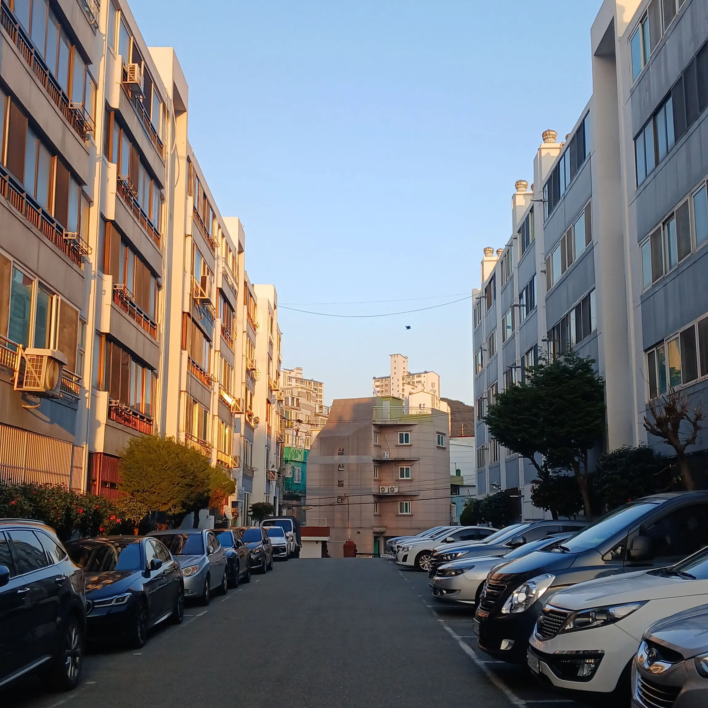 gmg의 어지 마세요 거리두기하세요