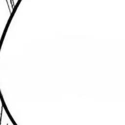 Profile image of 盤杖奏音