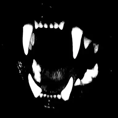 Profile image of 아킬레우스