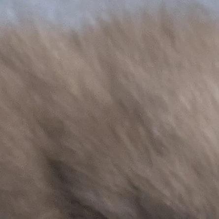 なみこ