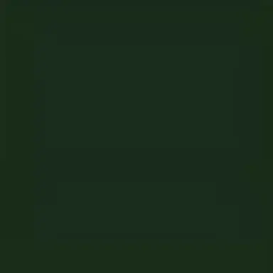 Profile image of イルミ