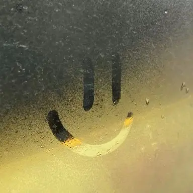 Profile image of 차하나