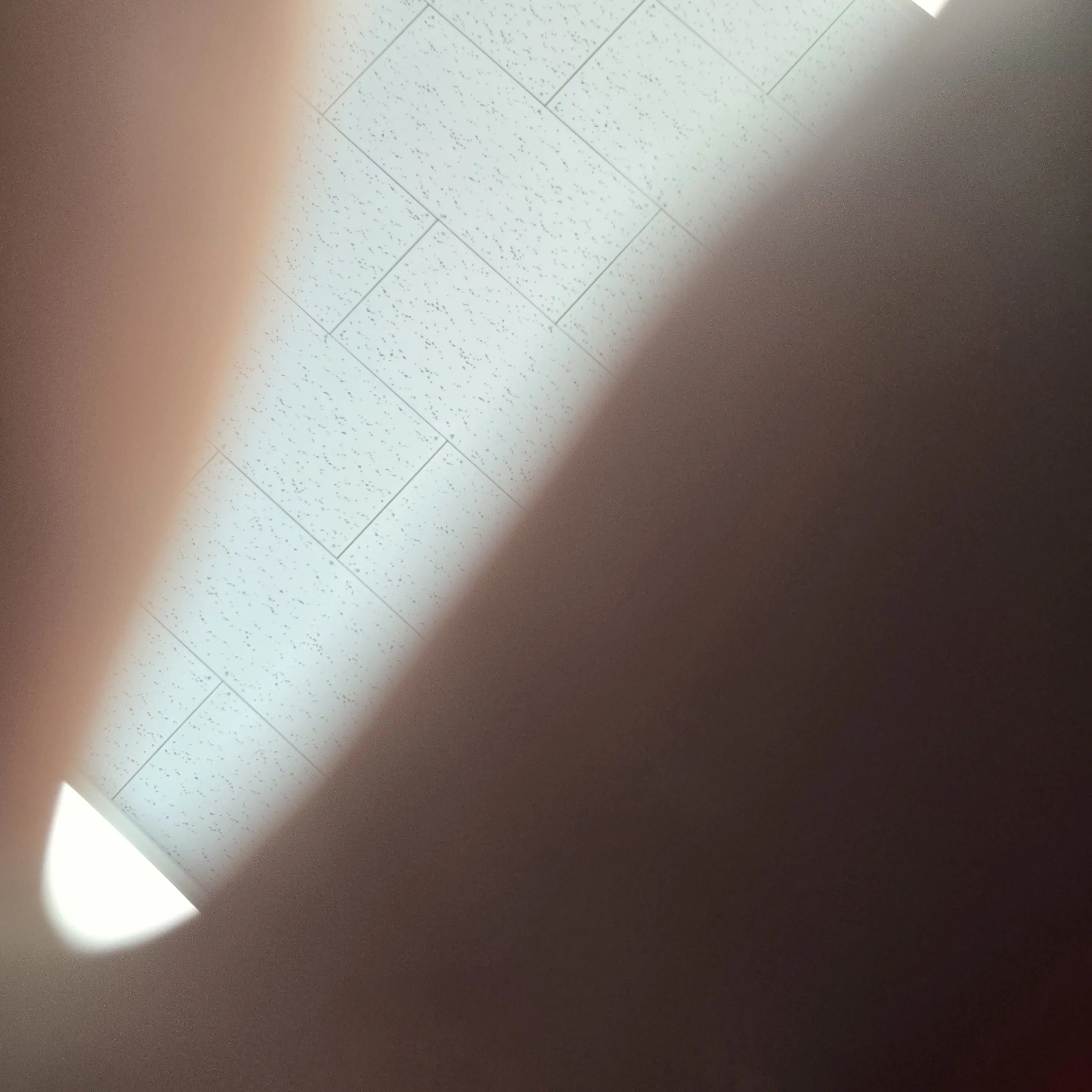 NiceTwin9569의 트와이스