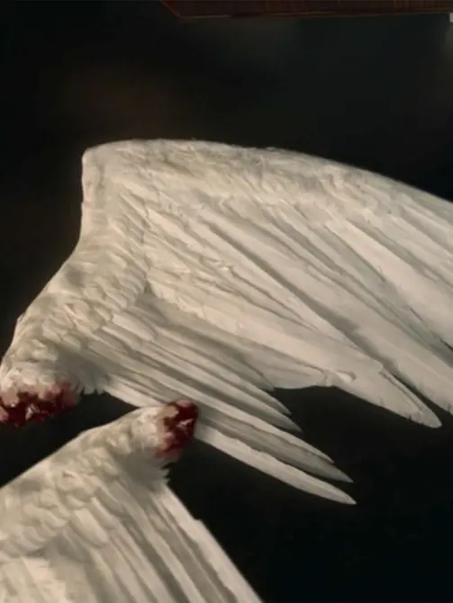 SGO__의 내가 시체 같다고 느껴졌어