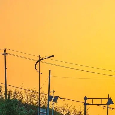 Profile image of 오반야