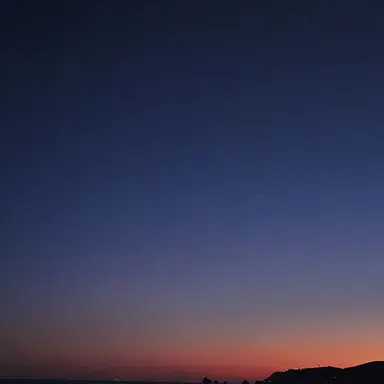 Profile image of 팜