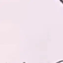 Misoduke의 楽しい配信！……だよね？