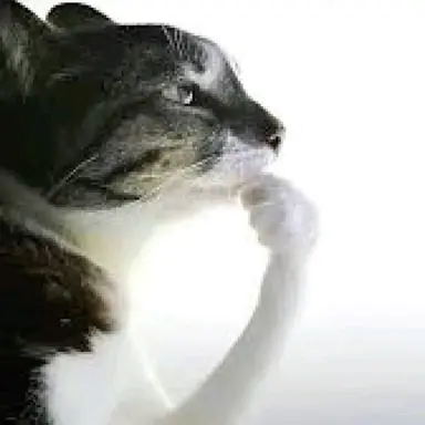 Profile image of Delia