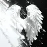 Profile image of 박원빈