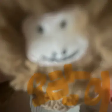 Profile image of 오랑이