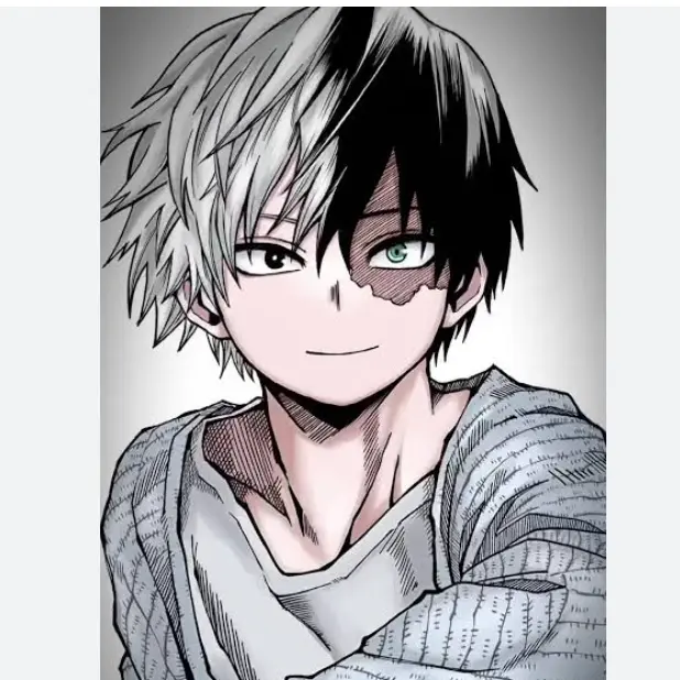 CockyPika4386의 轟焦凍